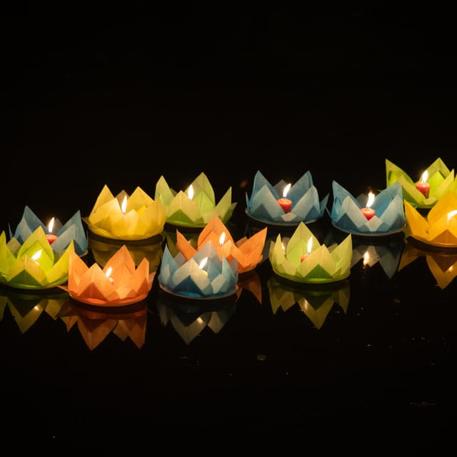 3 Pack: 30 Minute Float at Floating Lotus Wellness Center LLC in Paris, TN